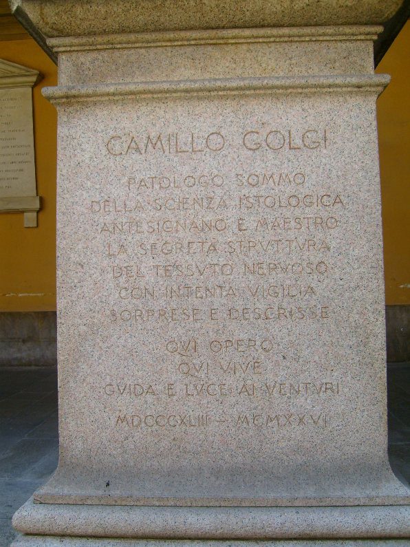 Camillo%20Golgi%27s%20statue%202%2C%20Pavia%2C%20Italy.JPG